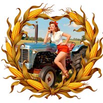 Traktor zurück zur Auswahl 👈👉 zum Shop